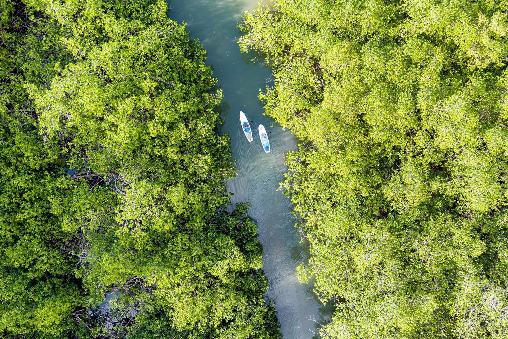 Saladero Ecolodge Esquinas Dış mekan fotoğraf
